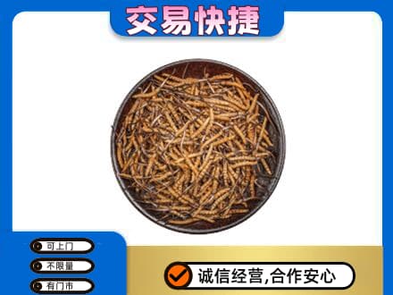 阿拉善高价回收散虫草